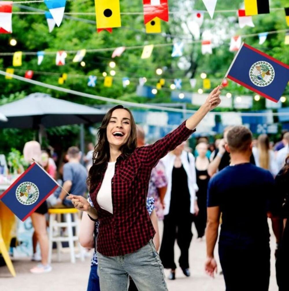 Belize 12" x 18" Stick Flags – Perfect for Events – Sold by the Dozen - New